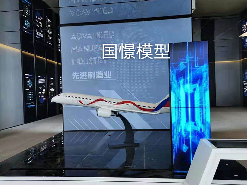 怀仁市飞机模型